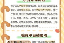 君子兰叶子中间长不出来的原因及解决方法（探究君子兰中间叶子生长困扰的问题，分享解决之道）