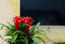 喜阳还是喜阴？探究鸿运当头植物喜好之谜（解读植物生长习惯，掌握旺运风水禁忌）