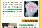 99朵玫瑰的花语（表达浪漫和感恩之情）