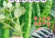为什么家里不能养辣椒？（探究家里养辣椒的原因与风险）