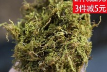 苔藓可以和兰花共生吗？（苔藓的特性和兰花生长的关系）