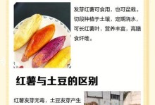 地瓜芽的培育与管理技巧（从种植到收获，轻松培育美味地瓜）