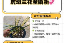 兰花炭疽病的预防与治疗（炭疽菌的危害与对策、兰花炭疽病的发生及防治措施）