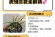 兰花炭疽病的预防与治疗（炭疽菌的危害与对策、兰花炭疽病的发生及防治措施）