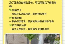 龙血树（打造健康宜居的家居环境，让龙血树成为你的家居装饰的首选）