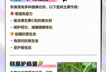 秋葵种植指南（种植时间、方法及注意事项）