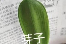 如何养护君子兰？（打造紧凑的君子兰，助你拥有绿意盎然的家居环境。）