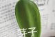 如何养护君子兰？（打造紧凑的君子兰，助你拥有绿意盎然的家居环境。）
