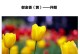温馨善良——这种花的花语（以善为本，以温为情）
