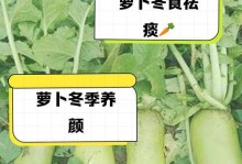 胡萝卜冬天也需要保暖（为什么胡萝卜在冬天容易冻死，如何给它们提供足够的温暖？）