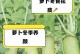 胡萝卜冬天也需要保暖（为什么胡萝卜在冬天容易冻死，如何给它们提供足够的温暖？）