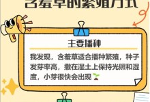 含羞草能否净化空气和吸收甲醛？（探究含羞草的空气净化和甲醛吸收作用，科学家的研究成果）