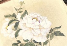 插白牡丹的技巧与方法（打造美丽花园的秘诀与经验）