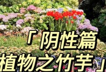 竹芋叶子的冬季保养技巧（让竹芋叶子在寒冷的冬季依然翠绿欲滴）