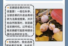 银杏养殖技巧大揭秘（从种植到管理，打造理想的银杏树园）