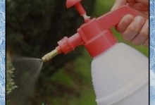 水滋养花朵的奇妙之旅（探索水的神奇力量与花朵间的默契）