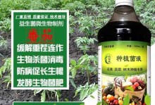 防治番茄青枯病的有效药物（药物防治、预防措施和防治策略）