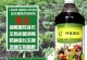 防治番茄青枯病的有效药物（药物防治、预防措施和防治策略）