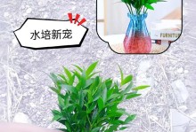 如何培养旺盛的水竹子（让水竹子更茂盛的关键养护技巧）
