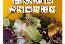 自制植物肥料，让你的植物茁壮成长（掌握关键技巧，打造高效自制肥料）