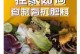 自制植物肥料，让你的植物茁壮成长（掌握关键技巧，打造高效自制肥料）