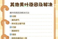 草地变黄的原因及处理方法（解决草地变黄问题的有效途径与关键步骤）