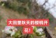 樱桃树开花结果全攻略（春季养护、授粉方式、病虫害防治，教你轻松拿到丰收）