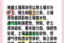 以沙土养殖室内植物的土质改善之道（打造营养丰富的沙土环境，让室内植物生机盎然）