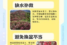 花蔫了怎么办？花草养护小贴士大揭秘（揭秘花蔫补救大法，让你的花园重现生机）