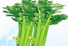 蔬菜种子发芽时间长短分析（如何快速促进蔬菜种子发芽？）