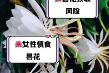 昙花的栽培与处理方法（如何使昙花绽放更长时间）