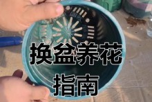绿萝换盆后根打散了怎么办（绿萝根打散后的修复方法及注意事项）
