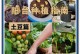 土豆根的养殖技巧及以爱之蔓锦的土豆根怎么养（打造丰收无忧的土豆根园，了解以爱之蔓锦的养殖秘籍）