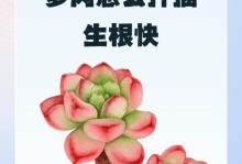 以多肉扦插生根水的方法与技巧（探索多肉植物生根水的奥秘，助你成功繁殖多肉植物）