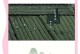 探寻茶中精髓——开化龙顶属于什么茶类系列？（从历史到品质，解析开化龙顶的魅力）