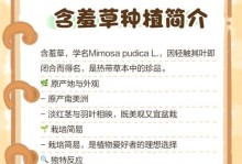 含羞草浇水技巧（春夏秋冬，应季浇水大不同）