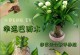 巴西木的繁殖方法与注意事项（掌握繁殖技巧，让巴西木美丽绽放）
