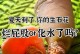 生石花根部腐烂的原因及应对措施（探究生石花根部腐烂的成因，提供有效防治方法）