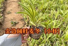 麦冬生长环境的研究（探究麦冬的地理分布及生态特点）