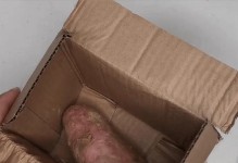 如何保存红薯不发芽（15个方法让你的红薯长期保鲜）