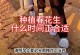花生种植全指南——合适种植月份剖析（如何选择花生种植的最佳时间）